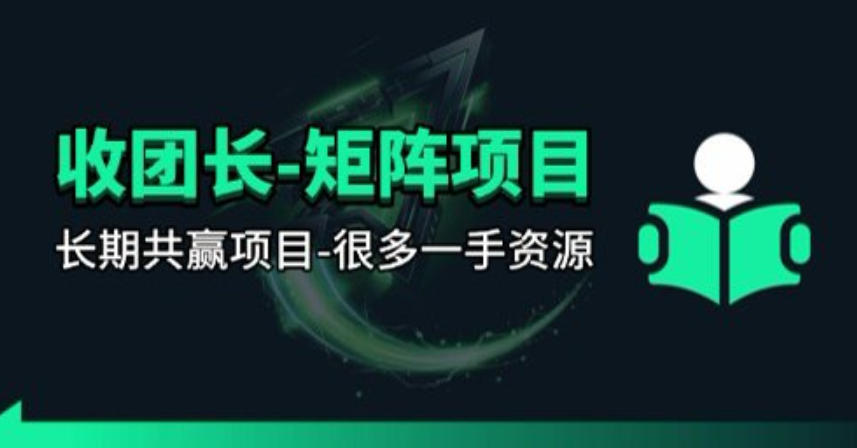 【团长合作】视频矩阵项目_招发手矩阵+剪辑师,共赢项目【揭秘】-数智网创