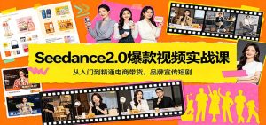 Seedance2.0爆款视频实战课：从入门到精通电商带货，品牌宣传短剧-数智网创