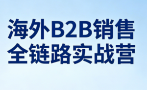 雨哥·海外B2B销售全链路实战营-数智网创