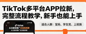 TikTok多平台APP拉新，完整流程教学，新手也能上手，轻松出海搞美金-数智网创