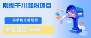 刚需千川涨粉项目,一部手机无需技术,单日变现1k+,当天做当天见收益【揭秘】-数智网创