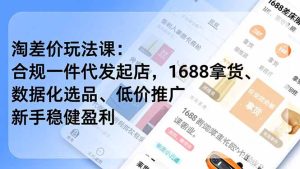 淘差价玩法课:合规一件代发起店,1688拿货、数据化选品、低价推广,新手稳健盈利(更新4月-数智网创