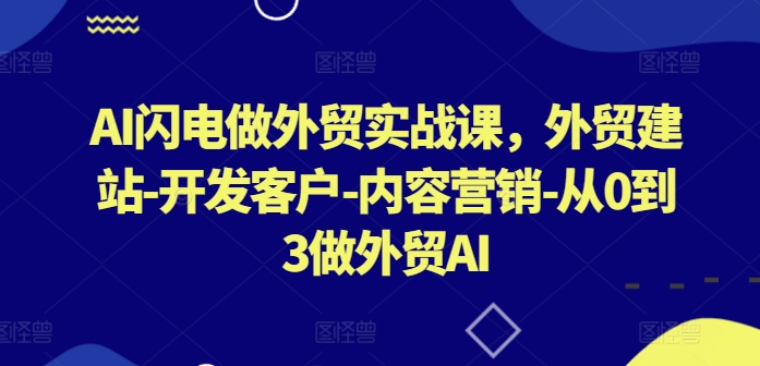 AI闪电做外贸实战课，​外贸建站-开发客户-内容营销-从0到3做外贸AI(更新)-数智网创