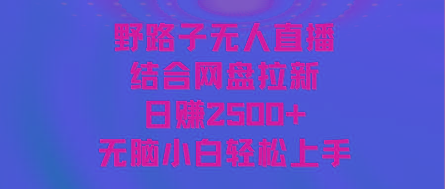无人直播野路子结合网盘拉新，日赚2500+多平台变现，小白无脑轻松上手操作-数智网创