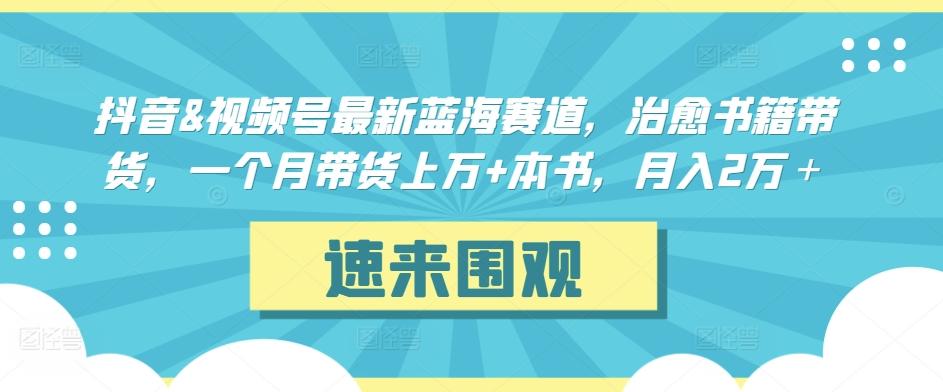 抖音&视频号最新蓝海赛道，治愈书籍带货，一个月带货上万+本书，月入2万＋【揭秘】-数智网创
