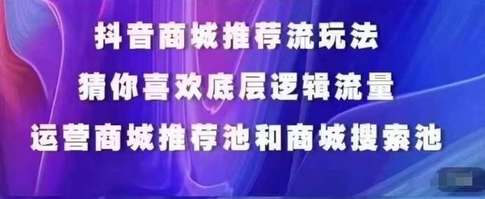 抖音商城运营课程，猜你喜欢入池商城搜索商城推荐人群标签覆盖-数智网创