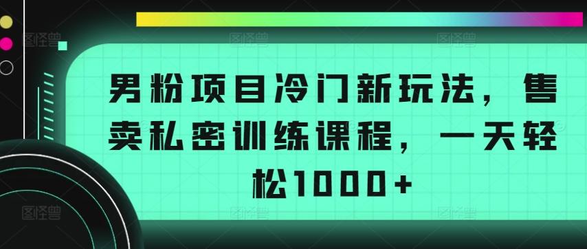 男粉项目冷门新玩法，售卖私密训练课程，一天轻松1000+【揭秘】-数智网创