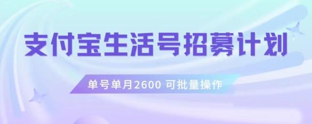 支付宝生活号作者招募计划，单号单月2600，可批量去做，工作室一人一个月轻松1w+【揭秘】-数智网创