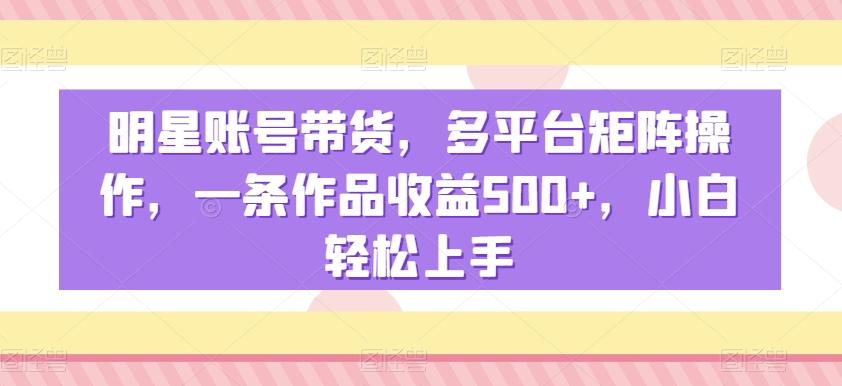 明星账号带货，多平台矩阵操作，一条作品收益500+，小白轻松上手【揭秘】-数智网创