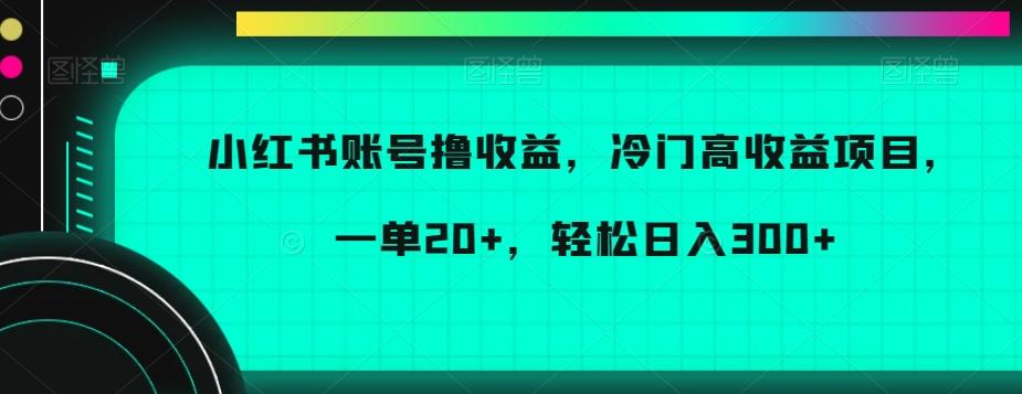 小红书账号撸收益，冷门高收益项目，一单20+，轻松日入300+【揭秘】-数智网创
