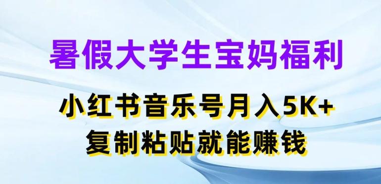 暑假大学生宝妈福利，小红书音乐号月入5000+，复制粘贴就能赚钱【揭秘】-数智网创