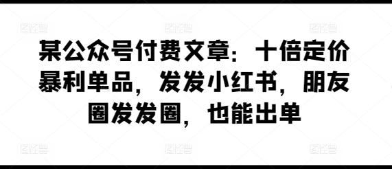 某公众号付费文章：十倍定价暴利单品，发发小红书，朋友圈发发圈，也能出单-数智网创