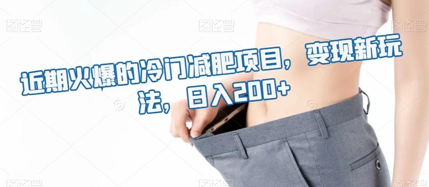 近期火爆的冷门减肥项目，变现新玩法，日入200+-数智网创