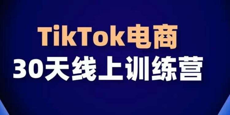TikTok电商带货30天线上课，不可错过的全球流量洼地！-数智网创