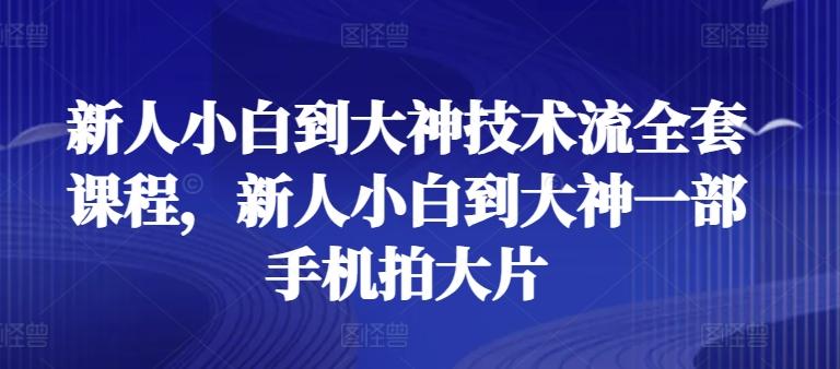 新人小白到大神技术流全套课程，新人小白到大神一部手机拍大片-数智网创