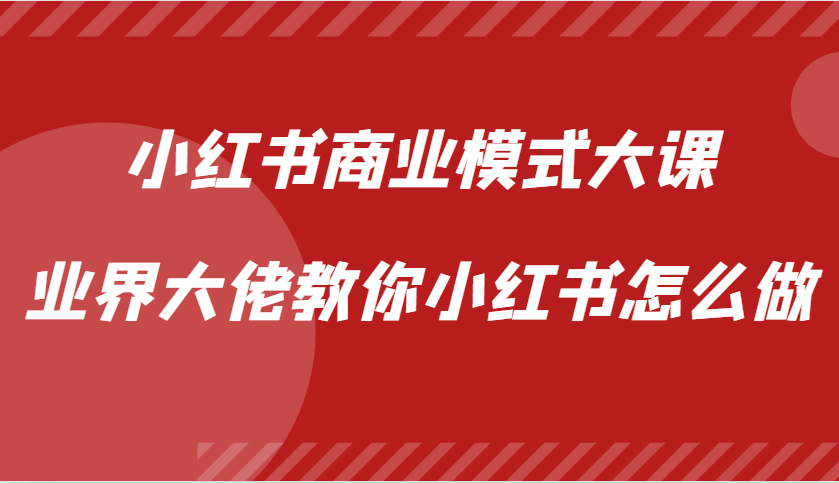 小红书商业模式大课，业界大佬教你小红书怎么做【视频课】-数智网创
