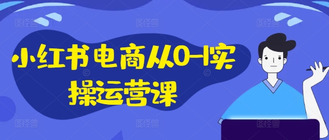 小红书电商从0-1实操运营课，小红书手机实操小红书/IP和私域课/小红书电商电脑实操板块等-数智网创