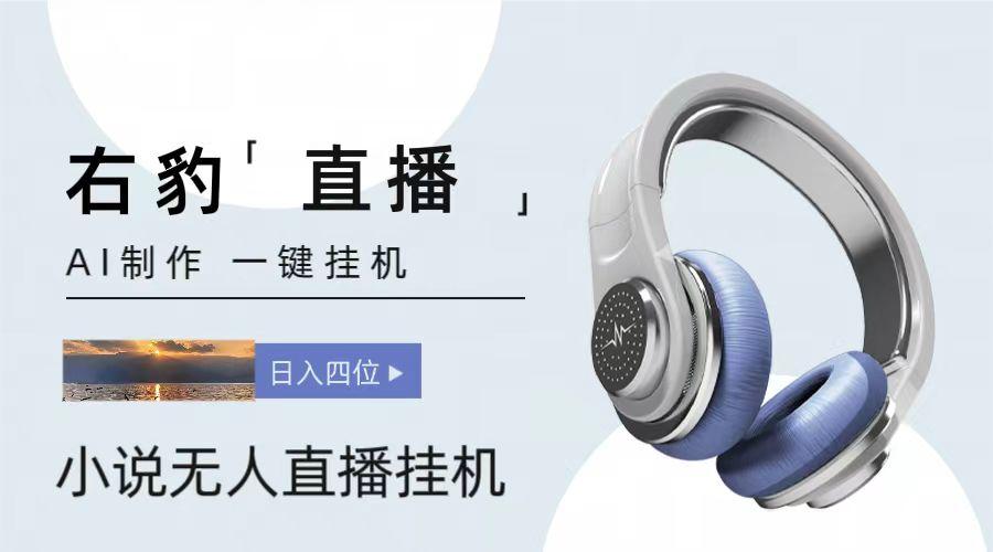 右豹小说无人直播挂机吸金项目，简单易行收益稳定， 月入1000+-数智网创