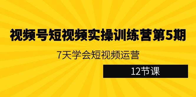 视频号短视频实操训练营第5期：7天学会短视频运营(12节课)-数智网创