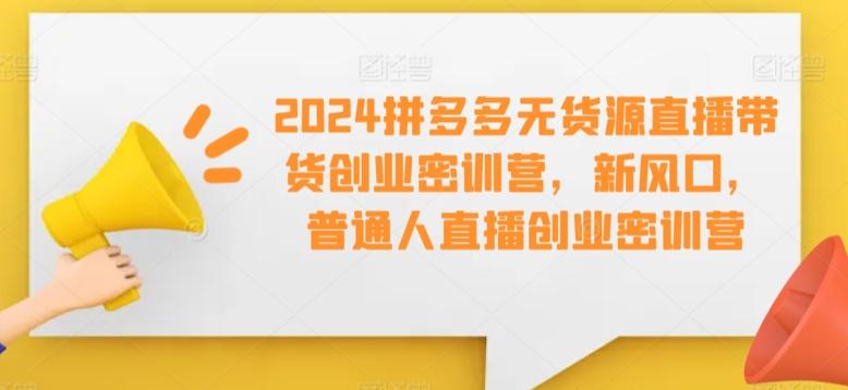2024拼多多无货源直播带货创业密训营,新风口,普通人直播创业密训营-数智网创