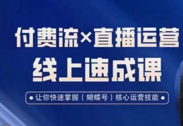 视频号付费流实操课程，付费流✖️直播运营速成课，让你快速掌握视频号核心运营技能-数智网创