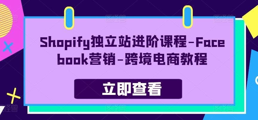 Shopify独立站进阶课程-Facebook营销-跨境电商教程-数智网创