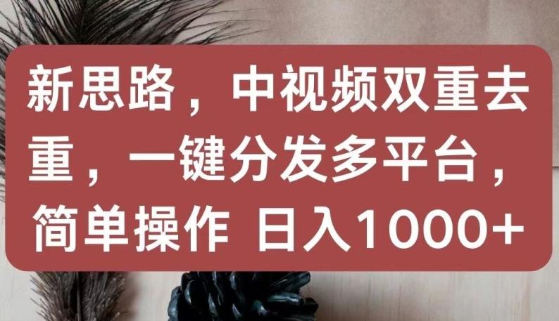 新思路，中视频双重去重，一键分发多平台，简单操作，日入1000+【揭秘】-数智网创