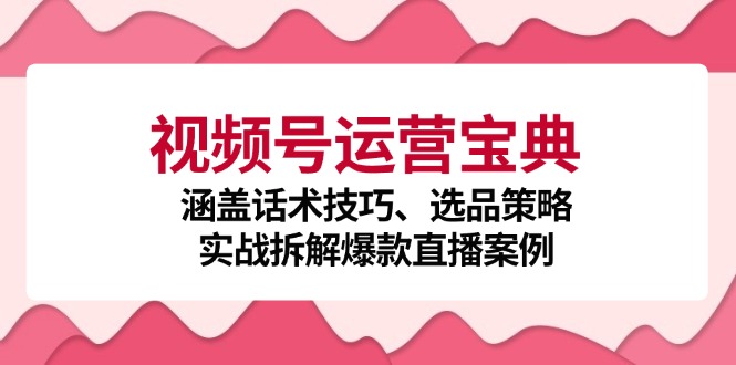 视频号运营宝典：涵盖话术技巧、选品策略、实战拆解爆款直播案例-数智网创
