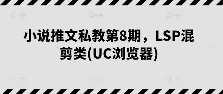 小说推文私教第8期，LSP混剪类(UC浏览器)-数智网创