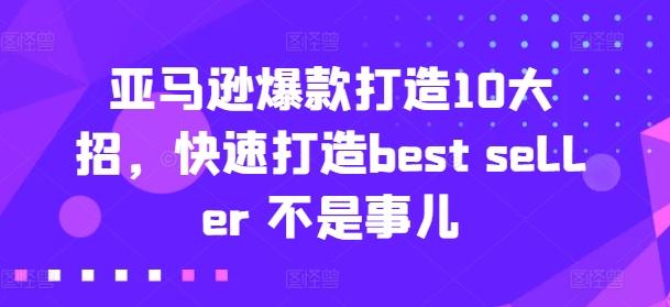 亚马逊爆款打造10大招，快速打造best seller 不是事儿-数智网创