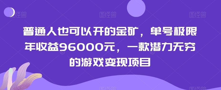 普通人也可以开的金矿，单号极限年收益96000元，一款潜力无穷的游戏变现项目【揭秘】-数智网创
