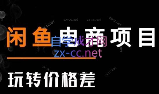 亿创繁星·闲鱼电商项目(玩转价格差)-数智网创