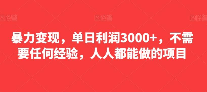 暴力变现，单日利润3000+，不需要任何经验，人人都能做的项目-数智网创