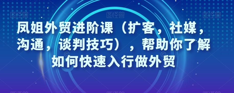 凤姐外贸进阶课（扩客，社媒，沟通，谈判技巧），帮助你了解如何快速入行做外贸-数智网创
