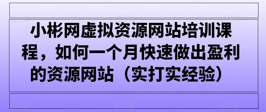 小彬网虚拟资源网站培训课程，如何一个月快速做出盈利的资源网站(实打实经验)-数智网创