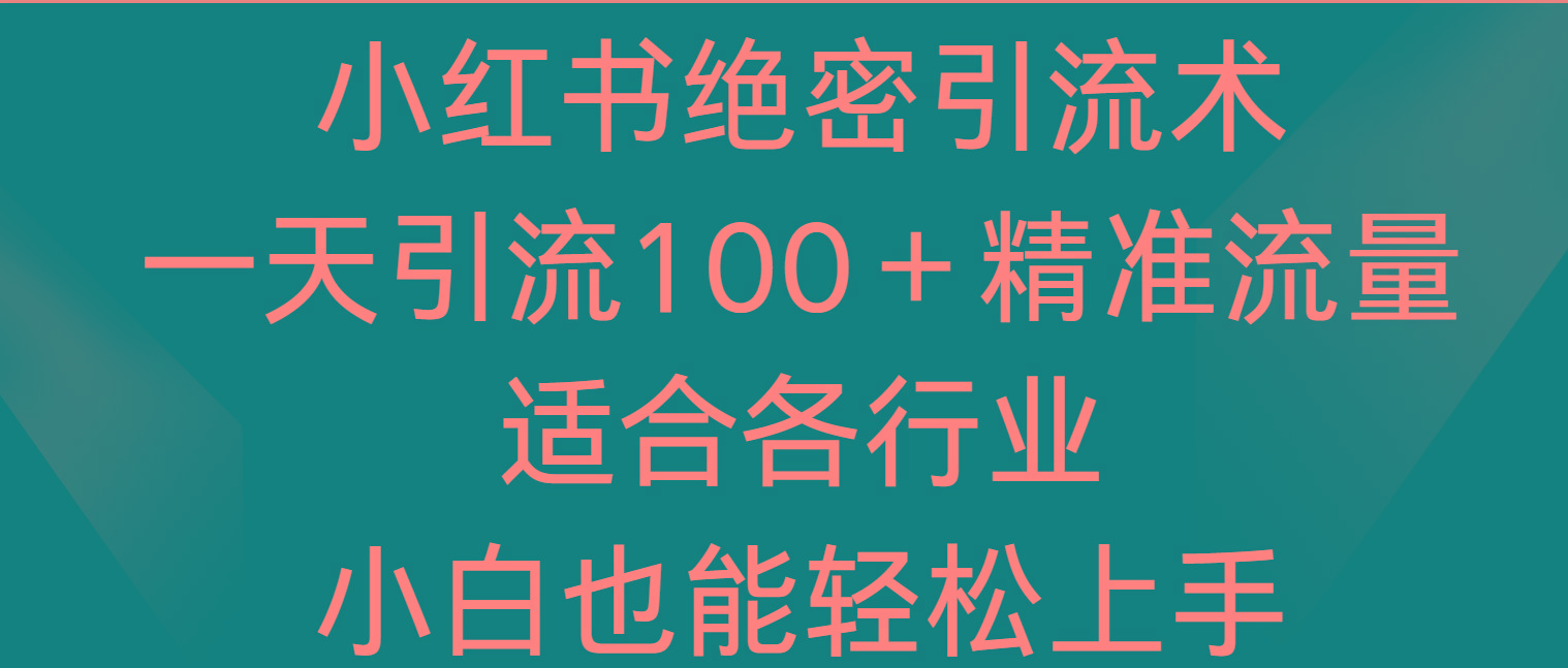 小红书绝密引流术，一天引流100＋精准流量，适合各个行业，小白也能轻松上手-数智网创