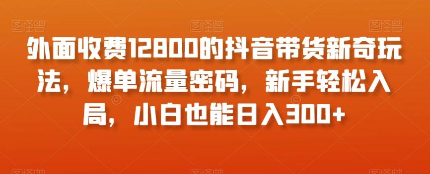 外面收费12800的抖音带货新奇玩法，爆单流量密码，新手轻松入局，小白也能日入300+【揭秘】-数智网创