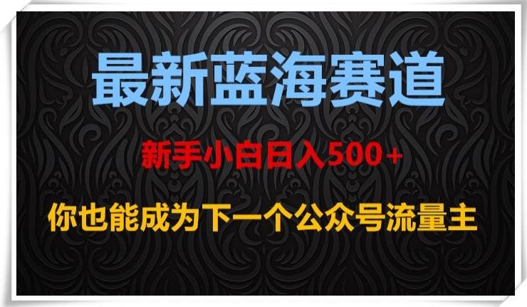 最新蓝海赛道，新手小白日入500+，你也能成为下一个公众号流量主【揭秘】-数智网创
