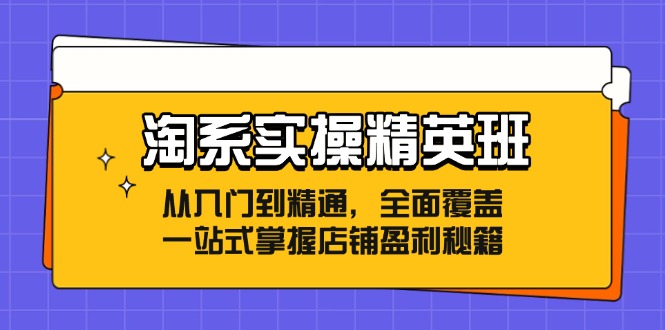 淘系实操精英班：从入门到精通，全面覆盖，一站式掌握店铺盈利秘籍-数智网创