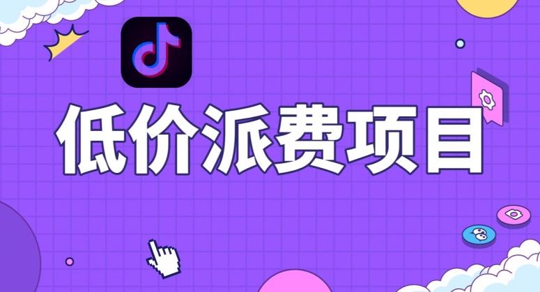 抖音低价派单项目，0门槛，日入1000+很轻松，小白可操作【揭秘】-数智网创
