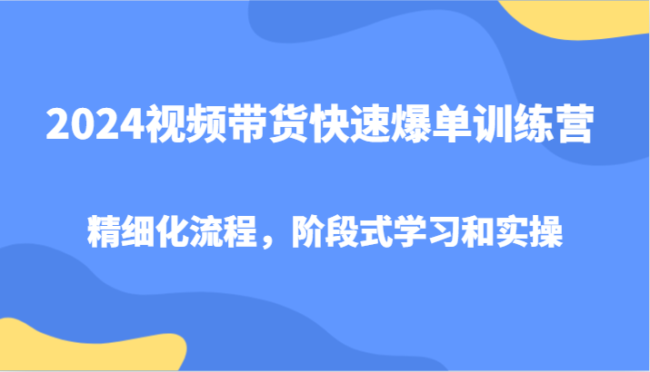 2024视频带货快速爆单训练营,精细化流程,阶段式学习和实操-数智网创
