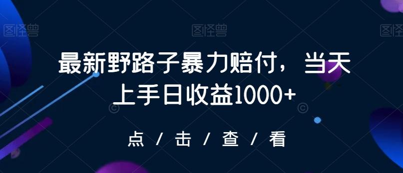 最新野路子暴力赔付，当天上手日收益1000+【仅揭秘】-数智网创