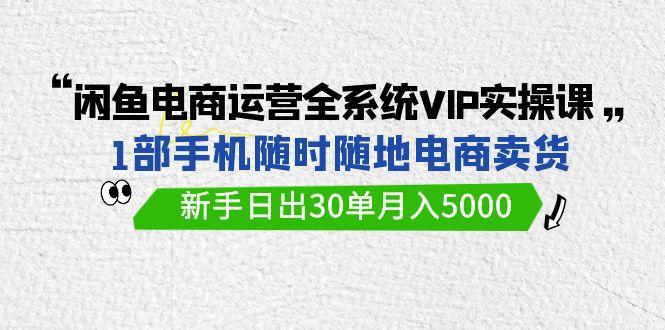 (9547期)闲鱼电商运营全系统VIP实战课，1部手机随时随地卖货，新手日出30单月入5000-数智网创
