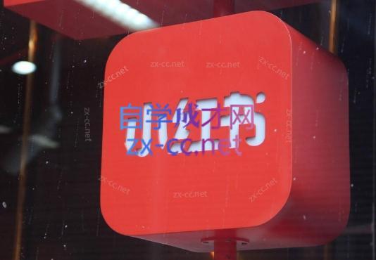 伊伊·红薯【高级班】运营课-数智网创