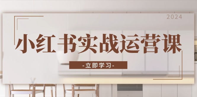 小红书实战运营课：从开通店铺到直播话术，打造爆款笔记与高效直播-数智网创