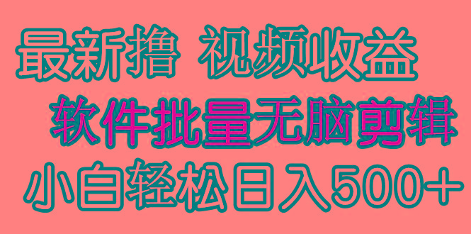 (9569期)发视频撸收益,软件无脑批量剪辑,第一天发第二天就有钱-数智网创