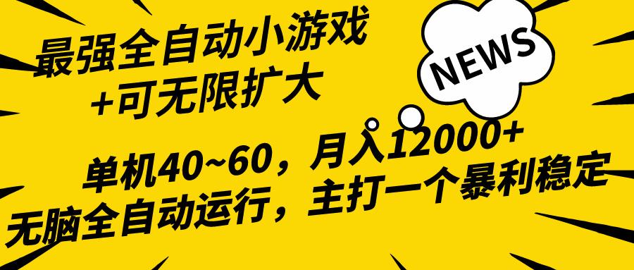 (10046期)2024最新全网独家小游戏全自动，单机40~60,稳定躺赚，小白都能月入过万-数智网创