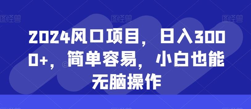 2024风口项目,日入3000+,简单容易,小白也能无脑操作