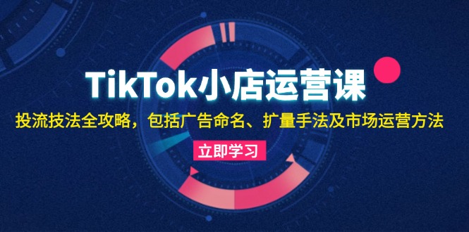 TikTok小店运营课：投流技法全攻略，包括广告命名 扩量手法及市场运营方法-数智网创