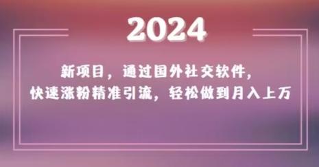 2024新项目，通过国外社交软件，快速涨粉精准引流，轻松做到月入上万【揭秘】-数智网创